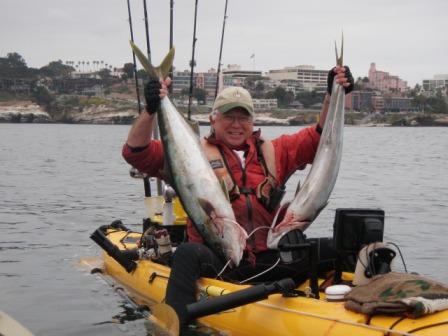 Picture of Yellow Tail Jack Fish